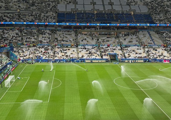 Comment devenir combattant professionnel en combat libre?